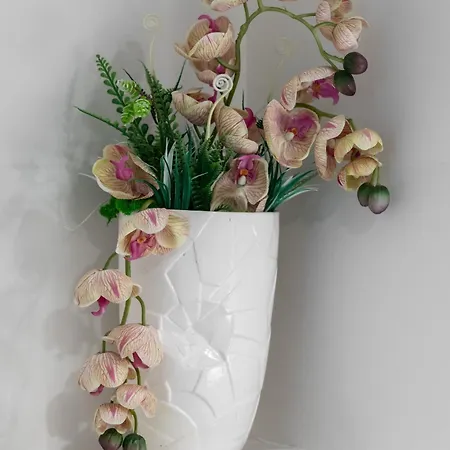 Nowy Konduktorska Z Parkingiem I Ogrodkiem - W Spokojnej Dzielnicy By Renters Apartment